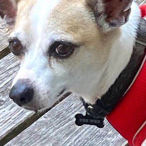 Meet your Posher, Ava